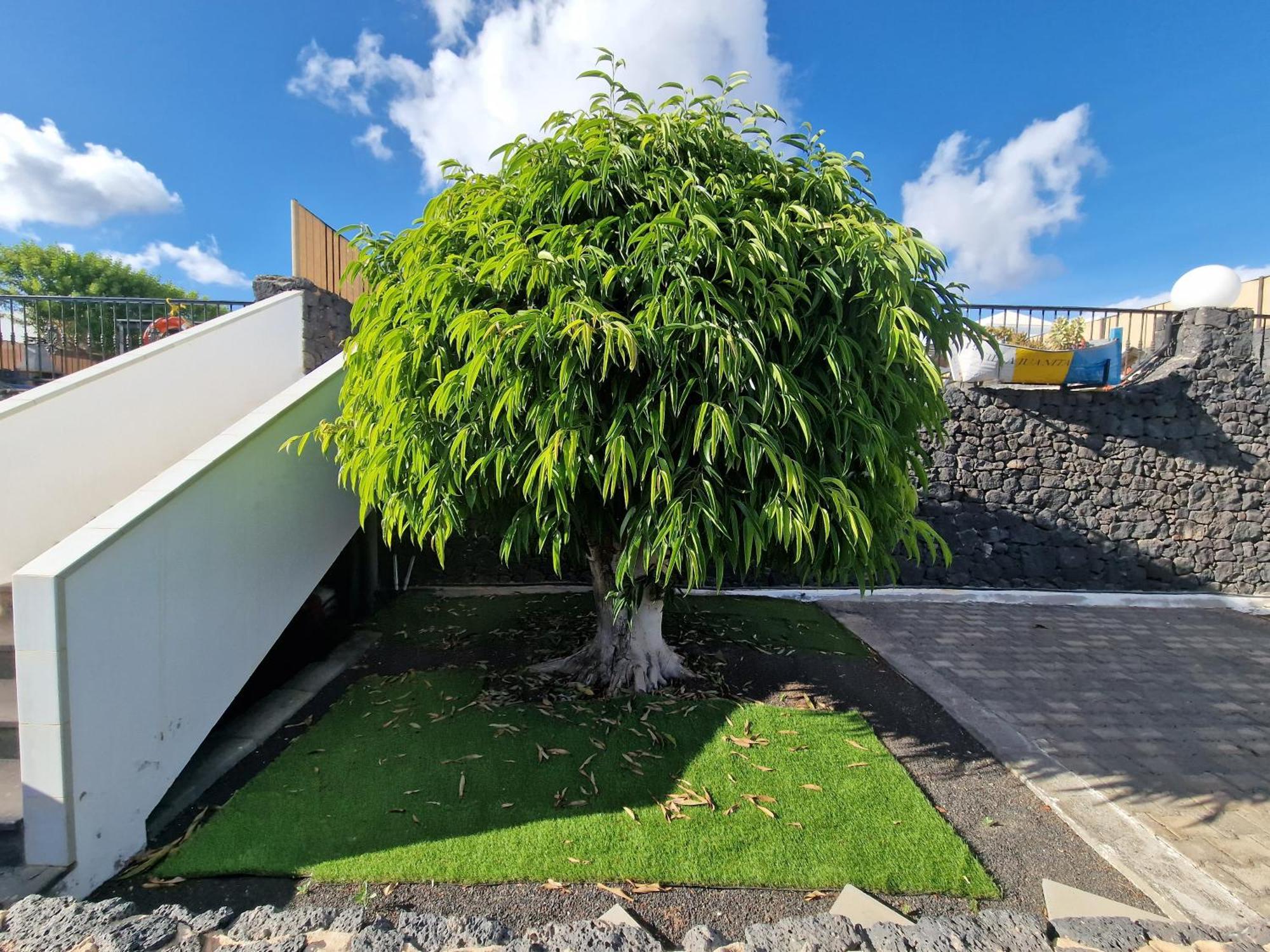 Villa Juanita, Puerto Del Carmen, Lanzarote Tías Exteriör bild